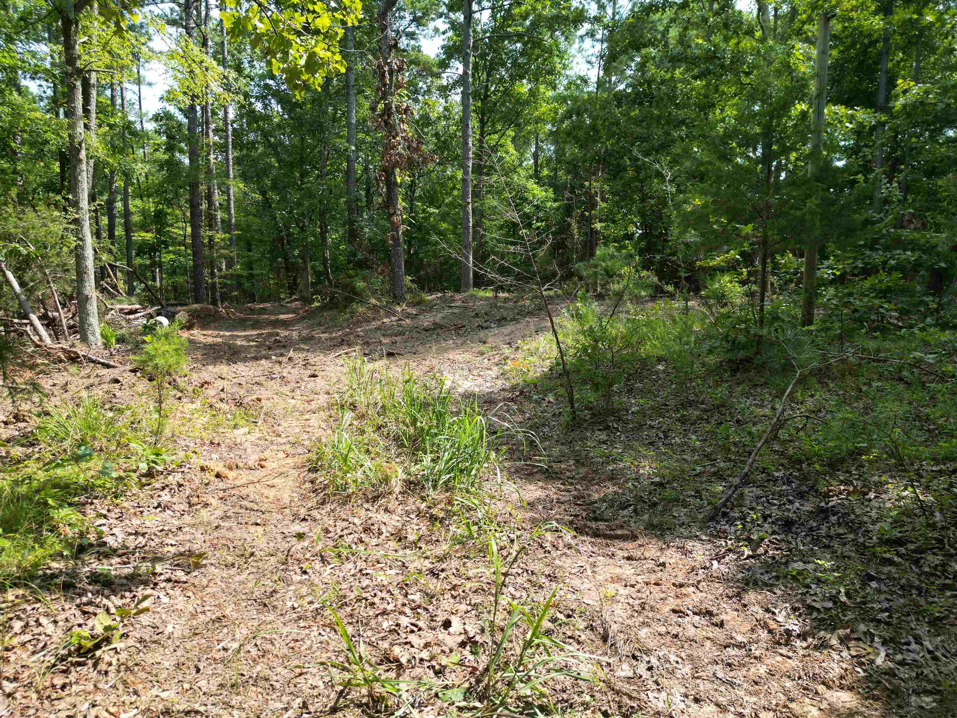 3 Talley Road Hornsby, TN 38044 - Photo 6 of 16 a view of backyard with green space