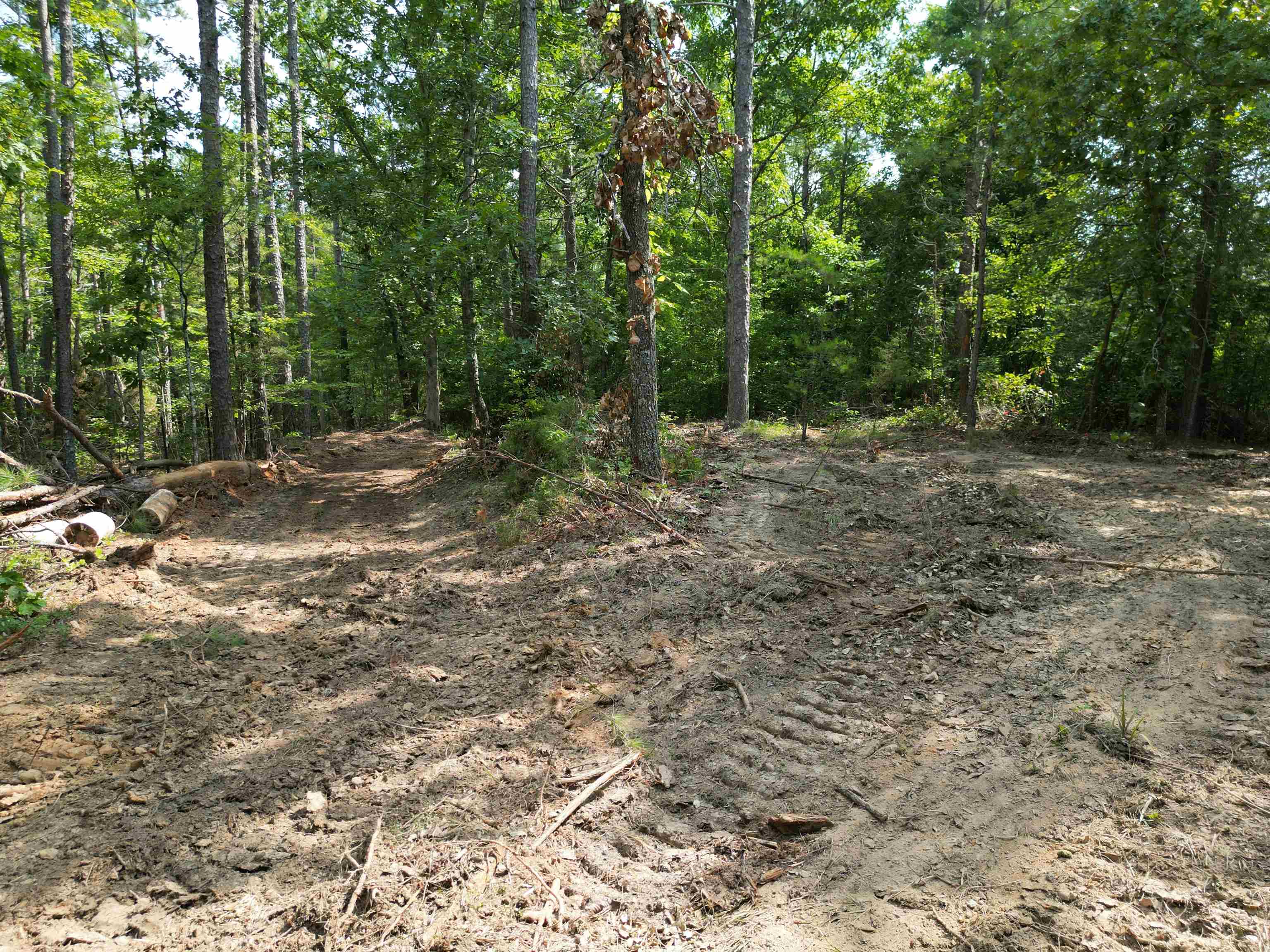3 Talley Road Hornsby, TN 38044 - Photo 7 of 16 a view of a yard with large trees