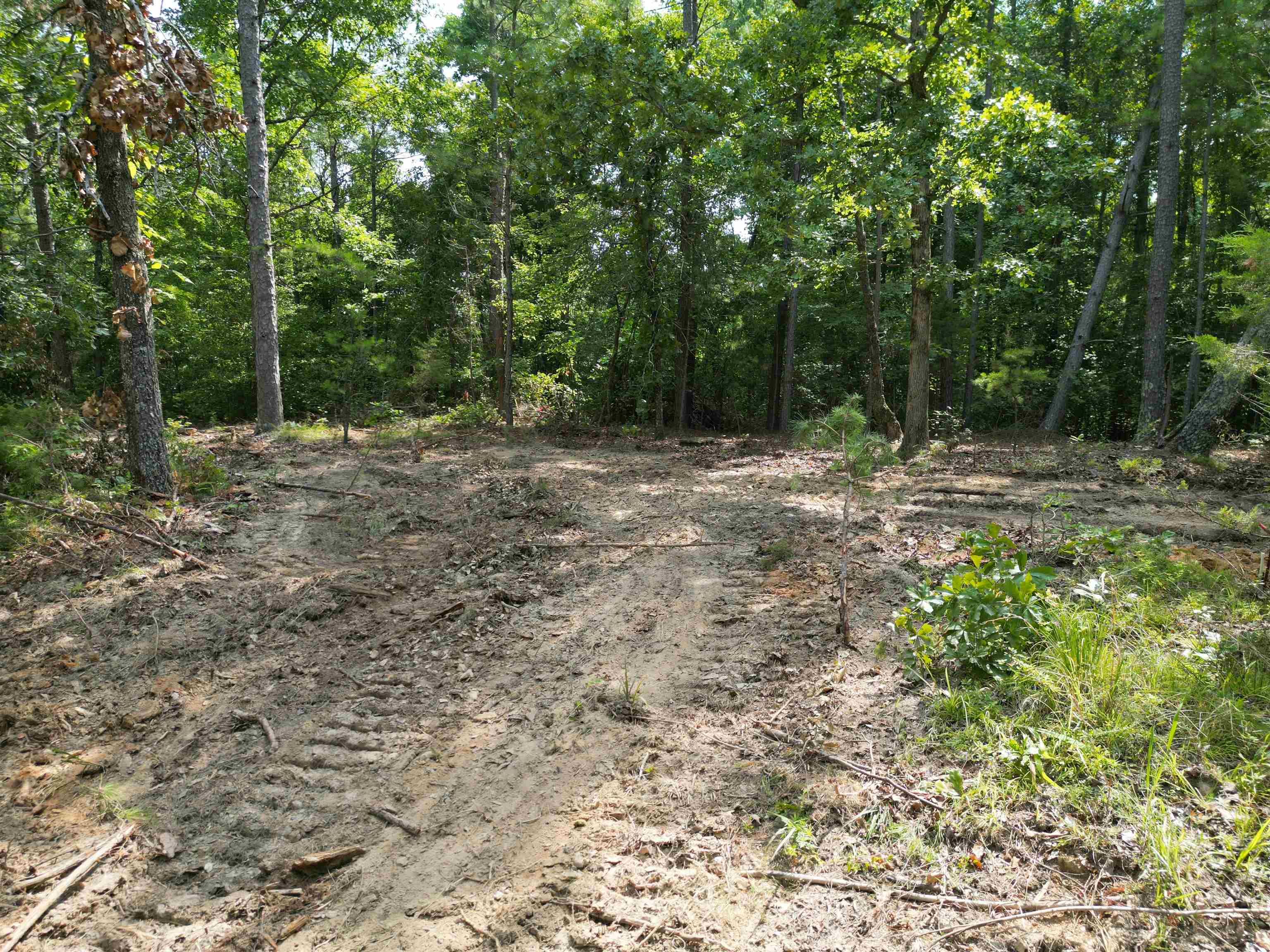 3 Talley Road Hornsby, TN 38044 - Photo 8 of 16 a view of a yard with large trees