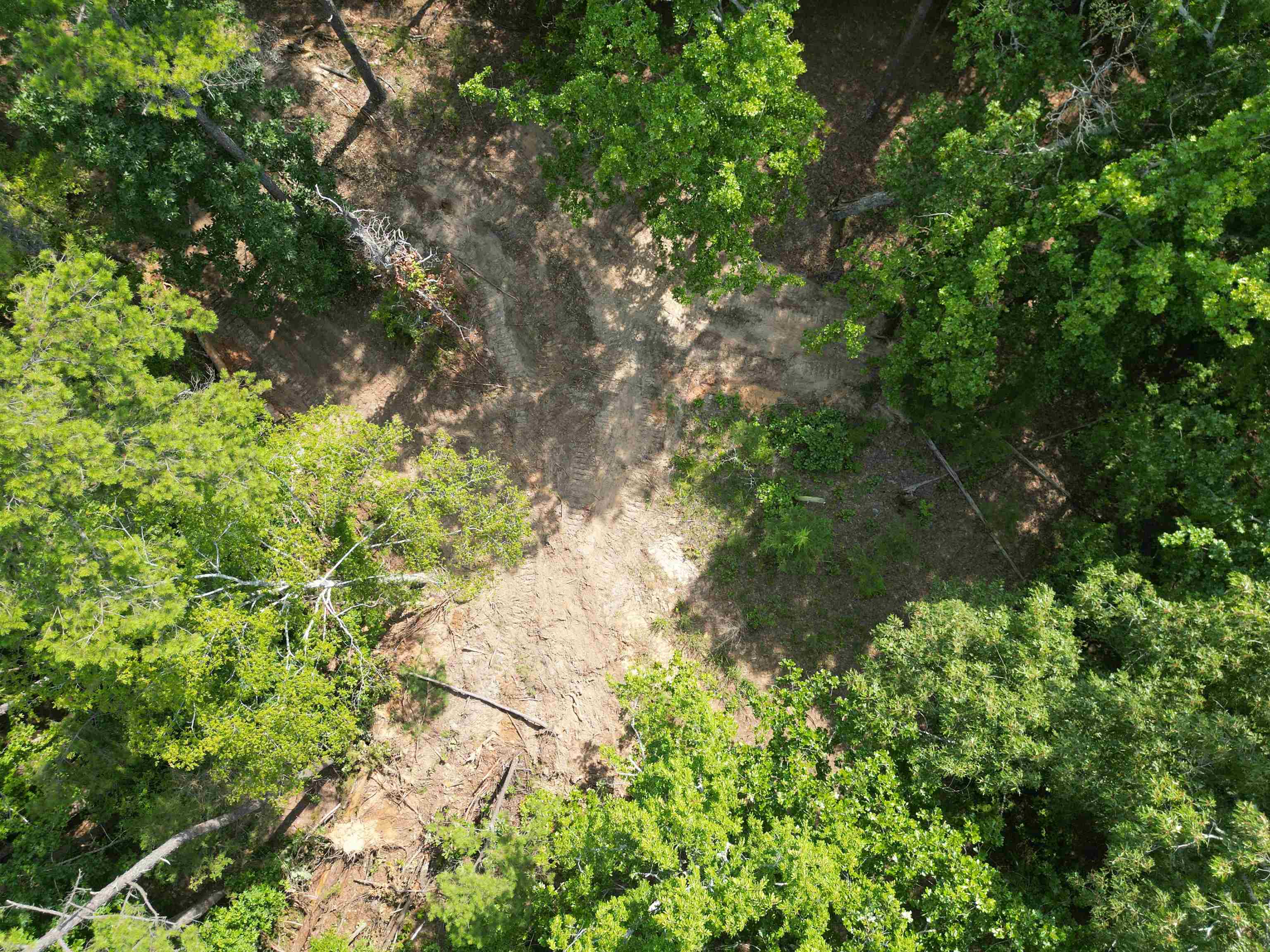 3 Talley Road Hornsby, TN 38044 - Photo 9 of 16 a backyard of a house
