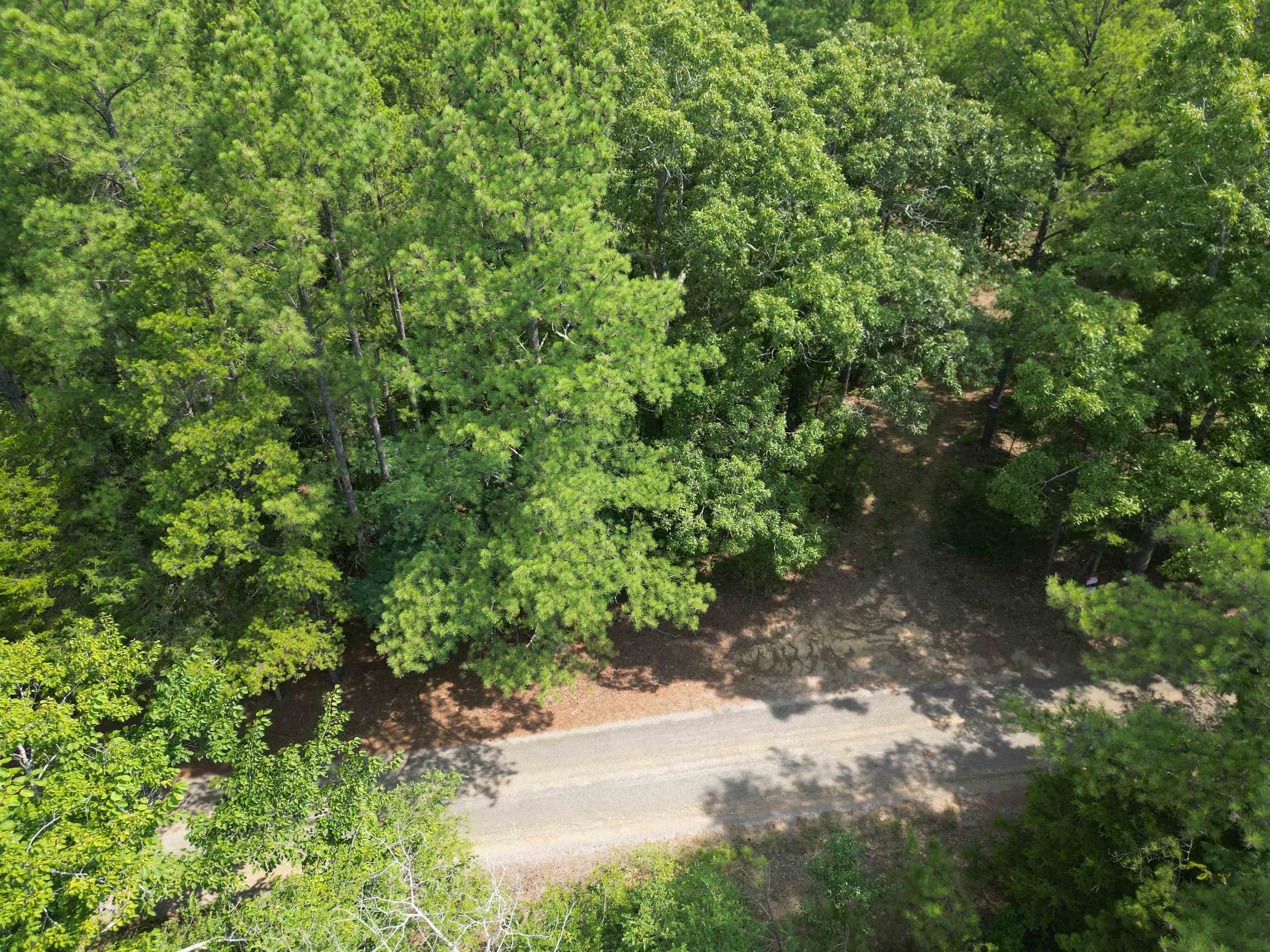 3 Talley Road Hornsby, TN 38044 - Photo 10 of 16