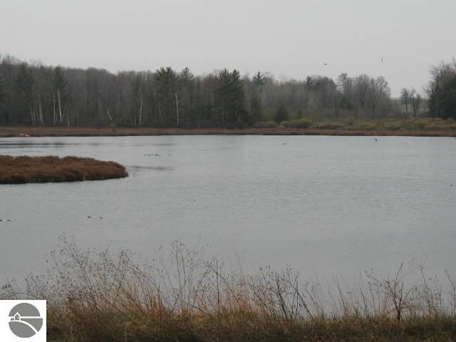 0 West Sharon Road South Boardman, MI 49680 - Photo 9 of 9 1647488-8.JPG
