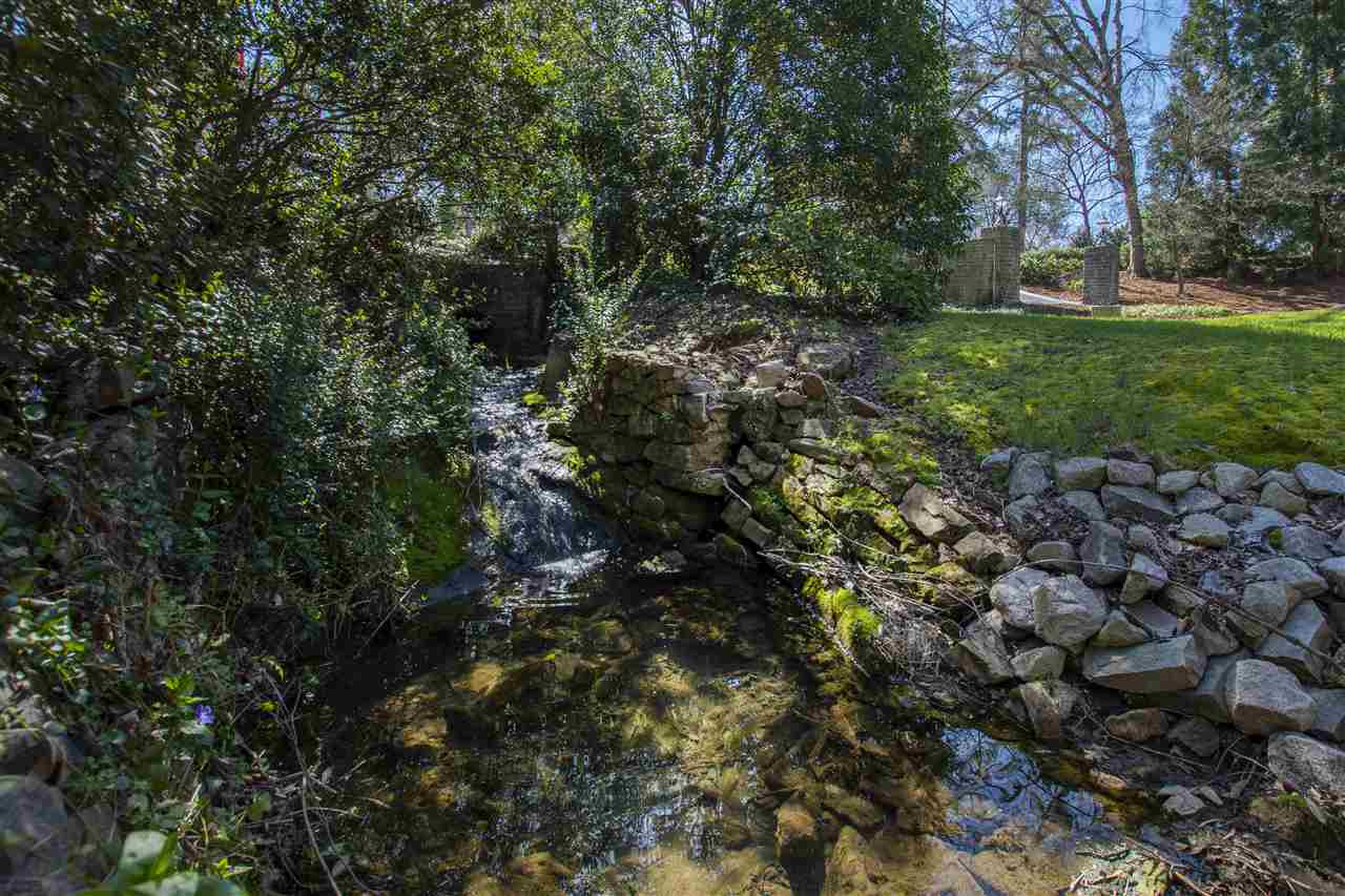 2000 Lewis Circle Raleigh, NC 27608 - Photo 27 of 30 Babbling brook!