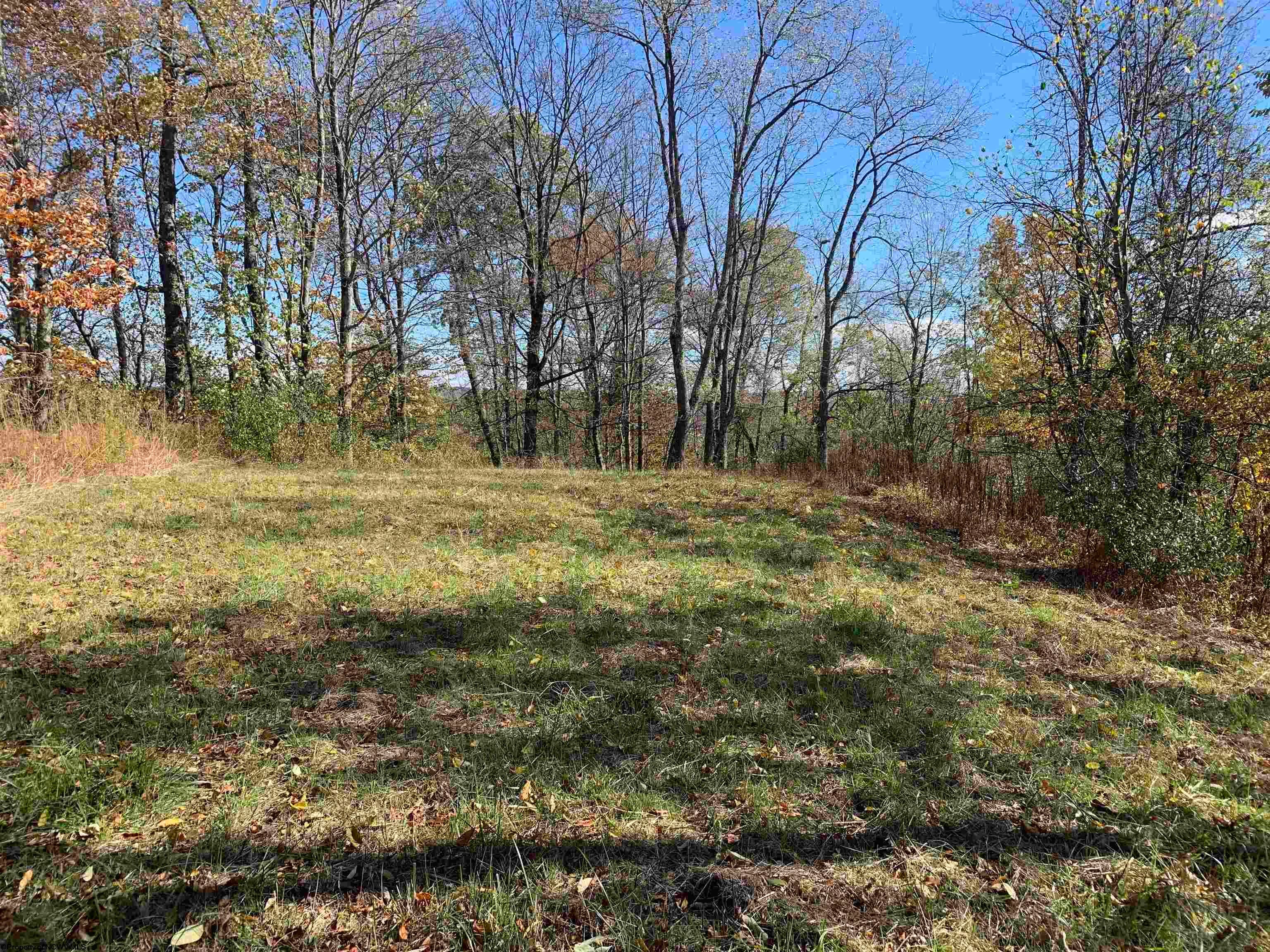 2208 Arden Road Philippi, WV 26416 - Photo 22 of 24 Gallery Image 22
