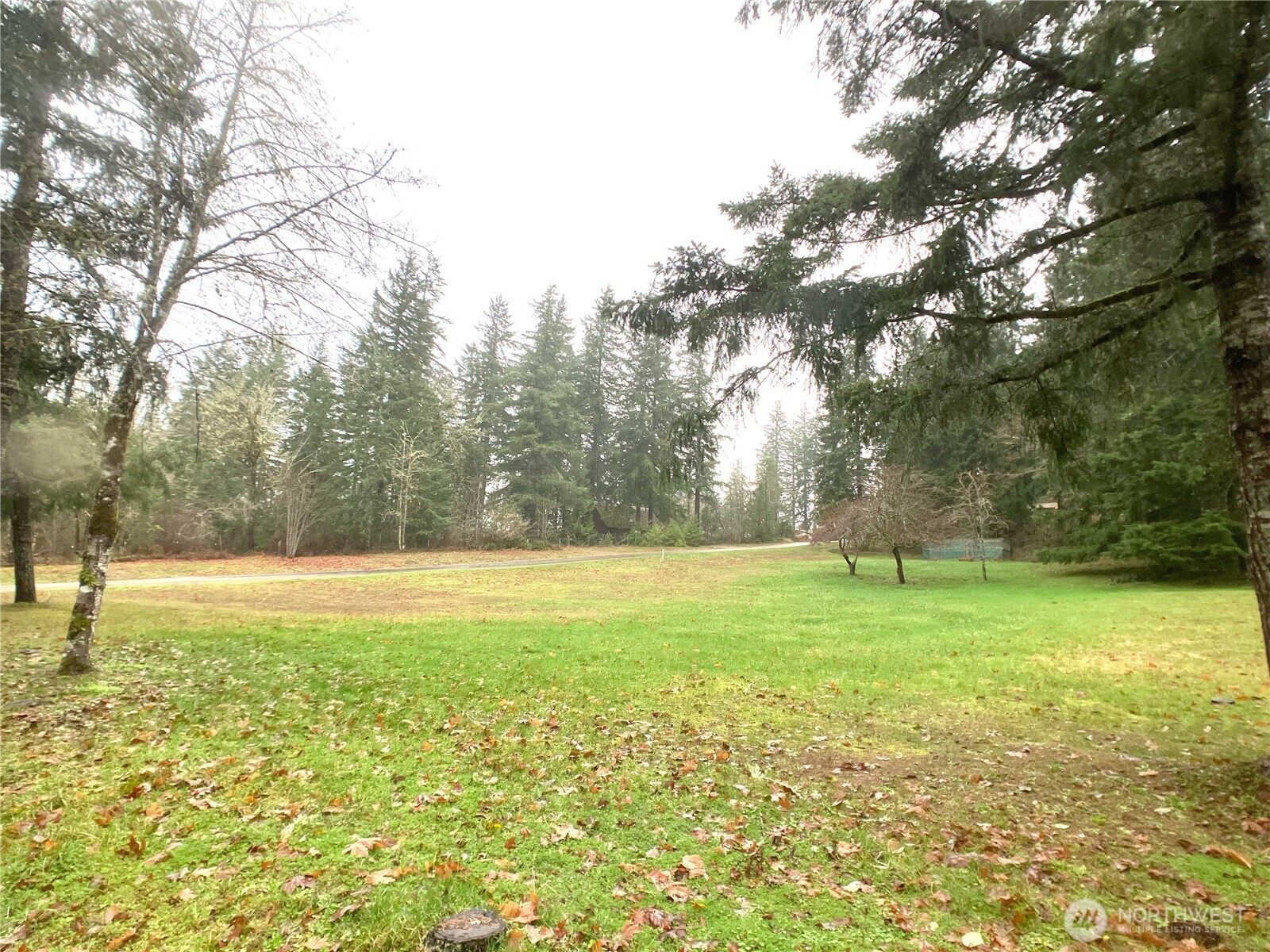 1471 Southeast Binns Swiger Loop Road Shelton, WA 98584 - Photo 20 of 25 a view of a field with a tree