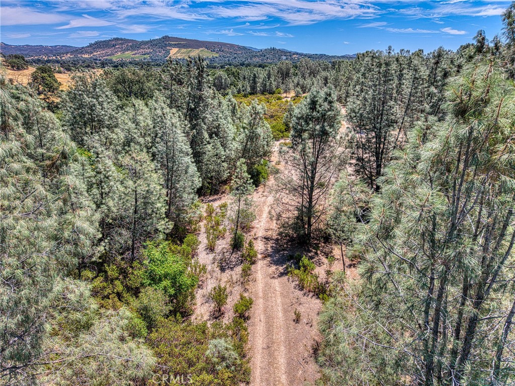 14142 Burns Valley Road Clearlake, CA 95422 - Photo 24 of 36 a view of a city with lush green forest