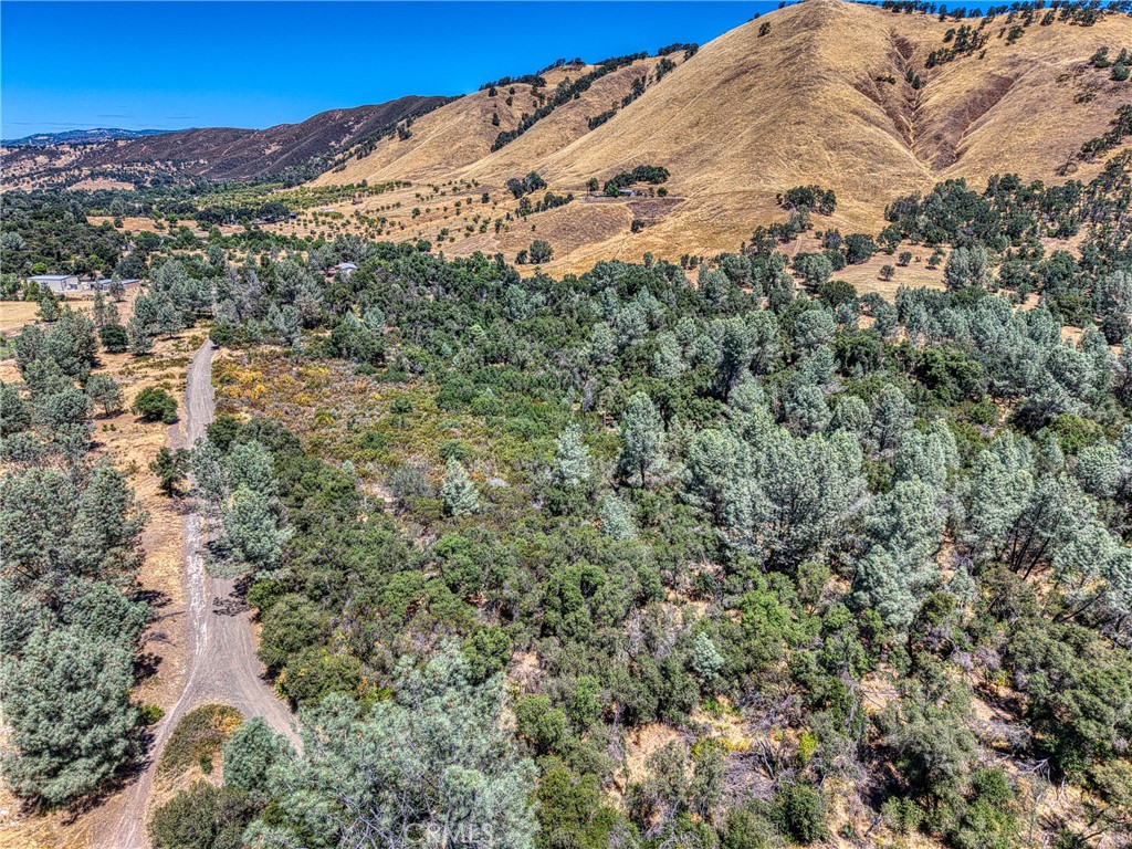 14142 Burns Valley Road Clearlake, CA 95422 - Photo 27 of 36 a view of a forest with a mountain in the background