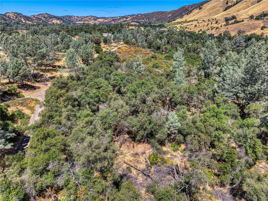 14142 Burns Valley Road Clearlake, CA 95422 - Photo 28 of 36 a view of a forest with a mountain in the background