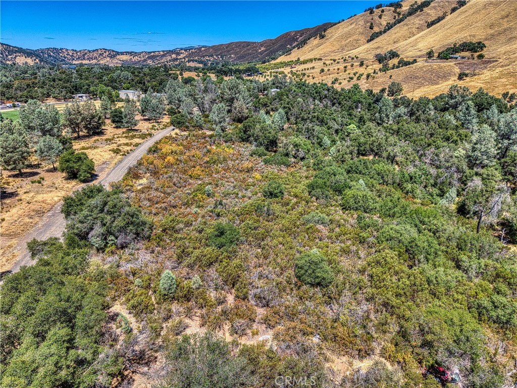 14142 Burns Valley Road Clearlake, CA 95422 - Photo 29 of 36 a view of a forest with mountains in the background