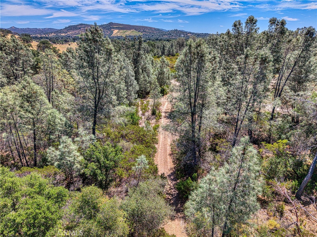 14142 Burns Valley Road Clearlake, CA 95422 - Photo 4 of 36 a view of a city with lush green forest