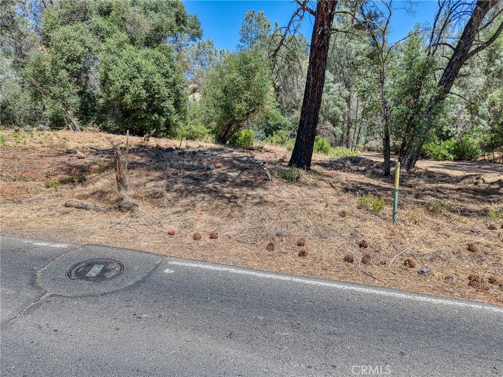 14142 Burns Valley Road Clearlake, CA 95422 - Photo 8 of 36 a view of a backyard with trees