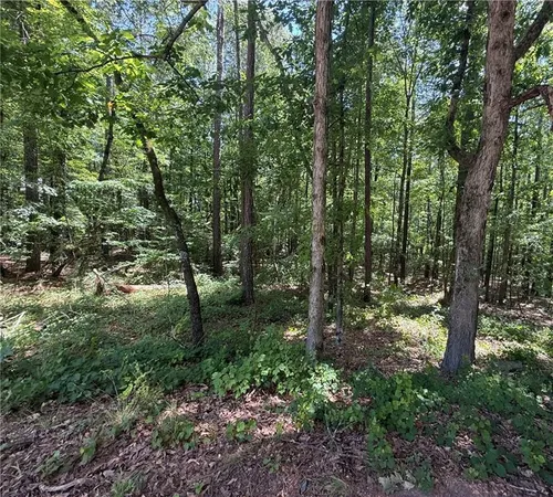 $20,500 | 0 Oriole Circle, Monticello, GA 31064