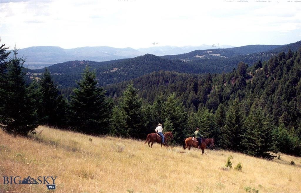 Tbd Lookout Trail Ramsay, MT 59748 - Photo 25 of 40 Gallery Image 25