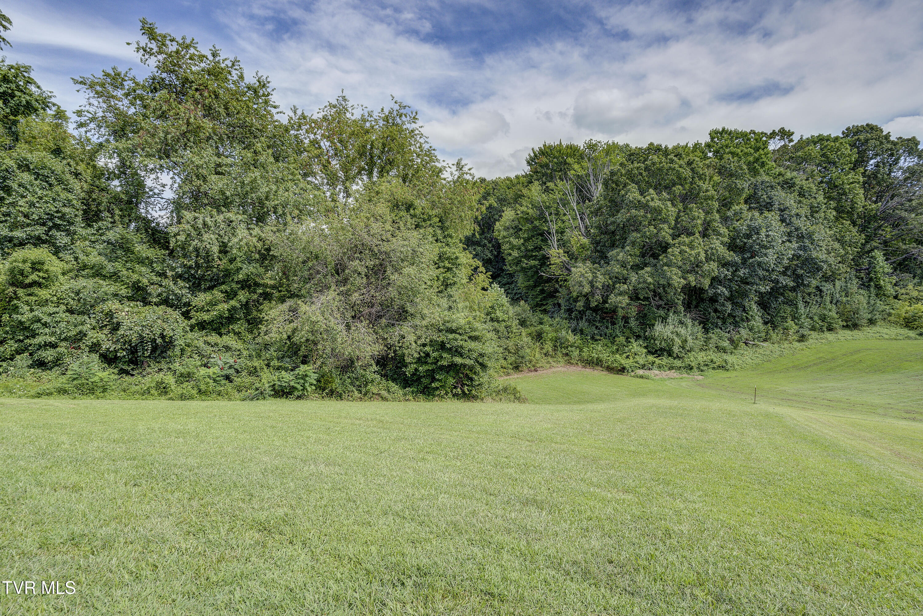 1048 Riddle Ridge Jonesborough, TN 37659 - Photo 10 of 57 Riddle-42