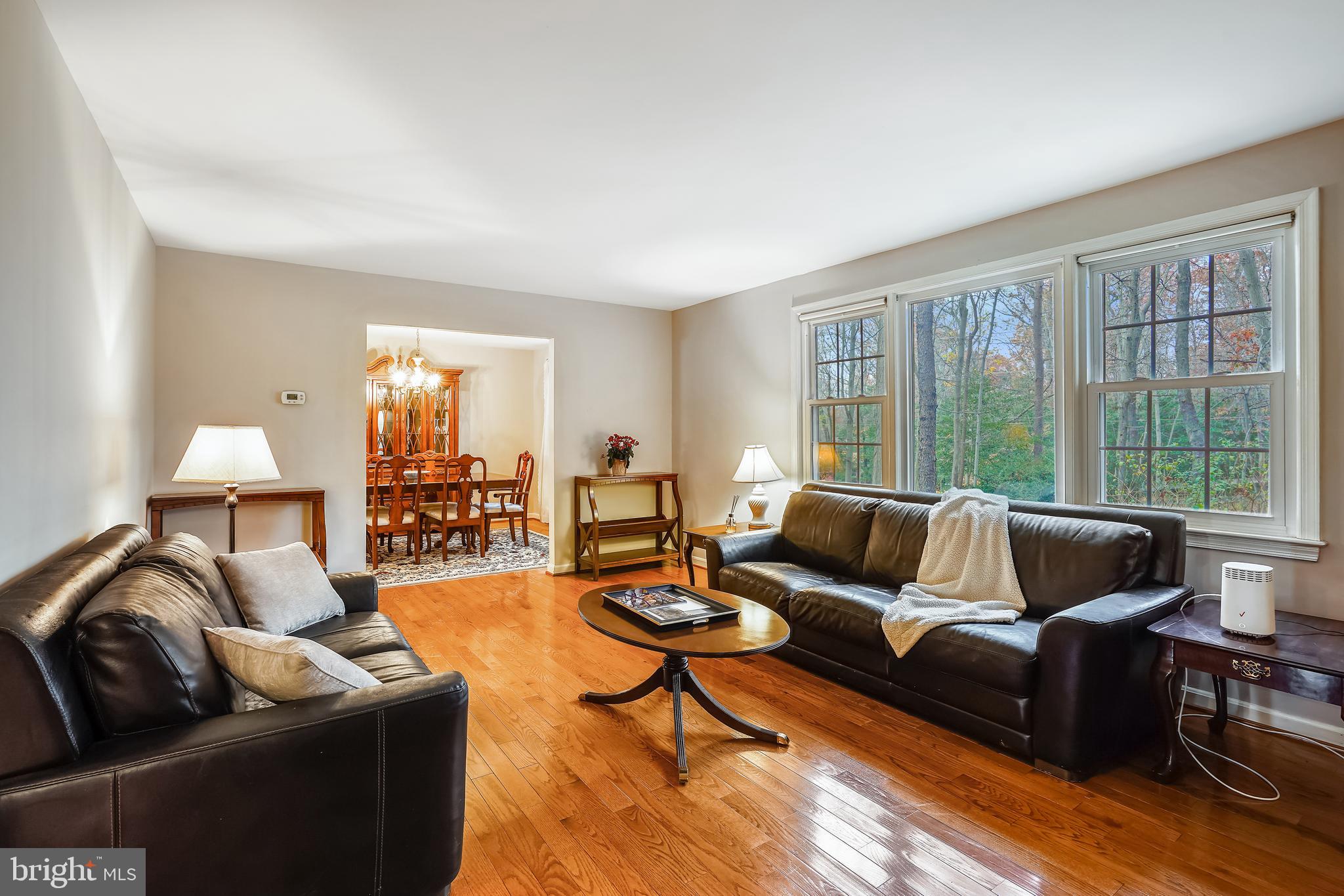 2420 Bramblebush Court Reston, VA 20191 - Photo 11 of 45 Living room