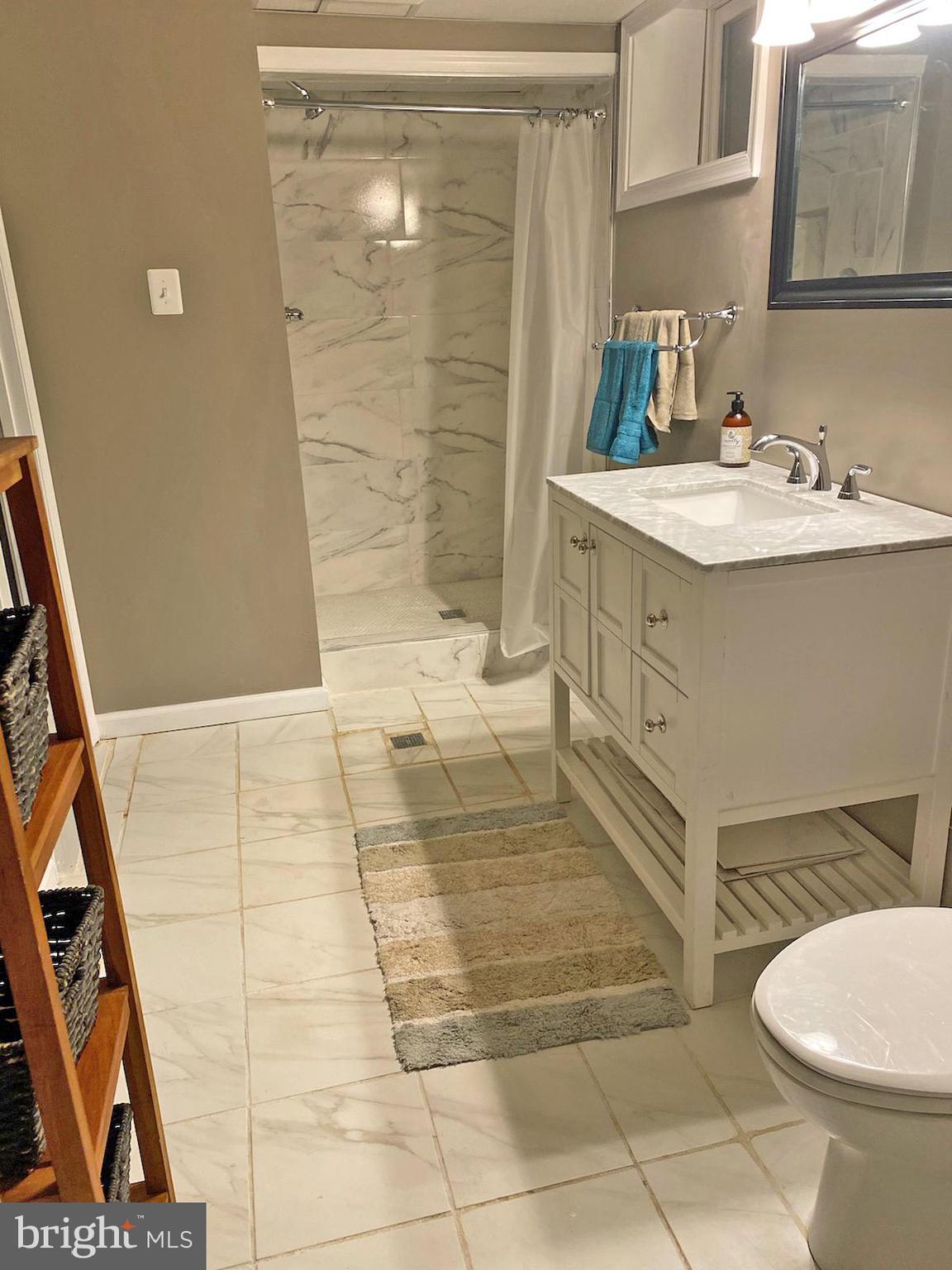2420 Bramblebush Court Reston, VA 20191 - Photo 28 of 45 Lower level Bathroom
