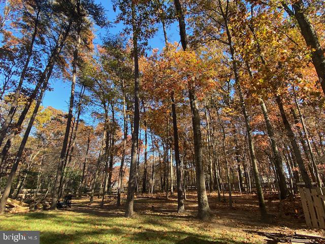 2420 Bramblebush Court Reston, VA 20191 - Photo 5 of 45 backyard