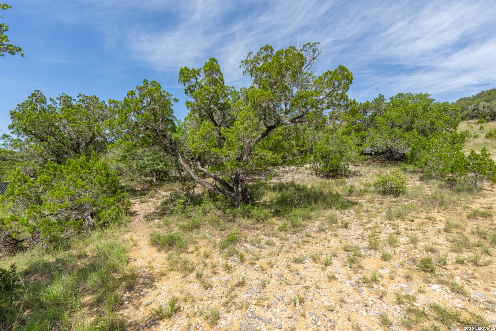 447 Blessing Lane Utopia, TX 78884 - Photo 36 of 50