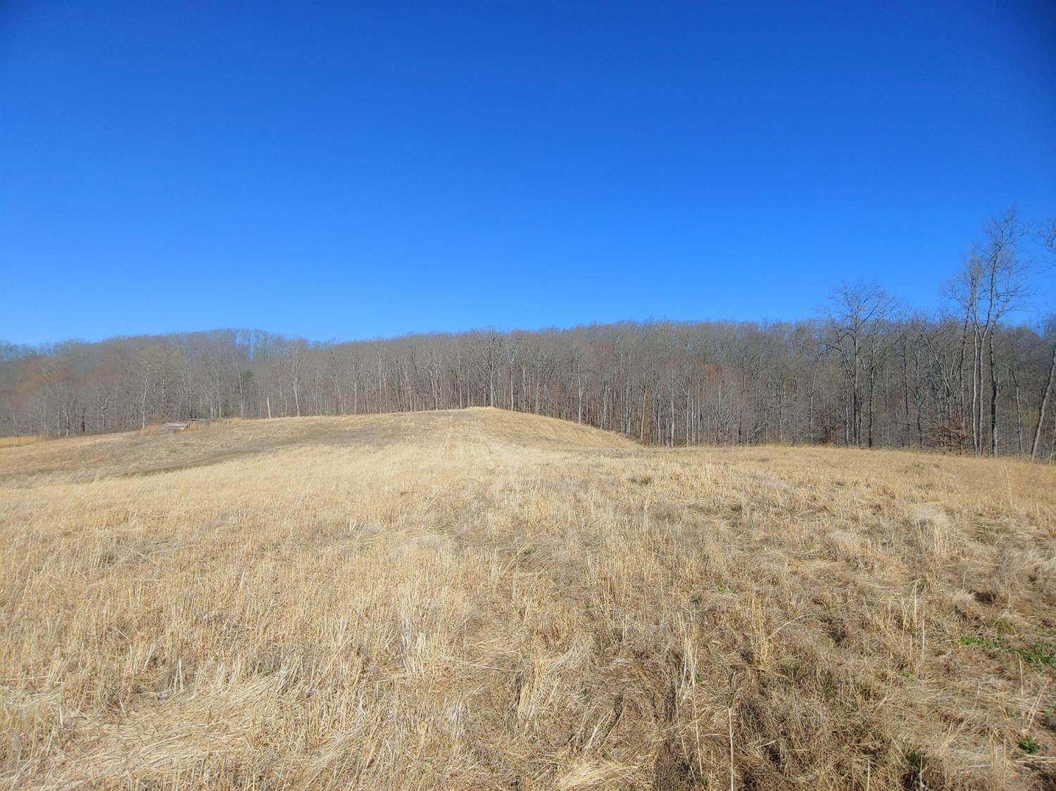 999 Pine Hill Brock Road London, KY 40741 - Photo 12 of 25 Photo 12