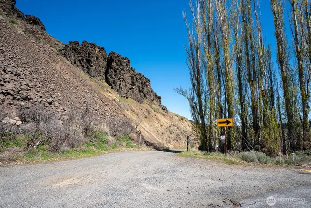 a view of a backyard with plants