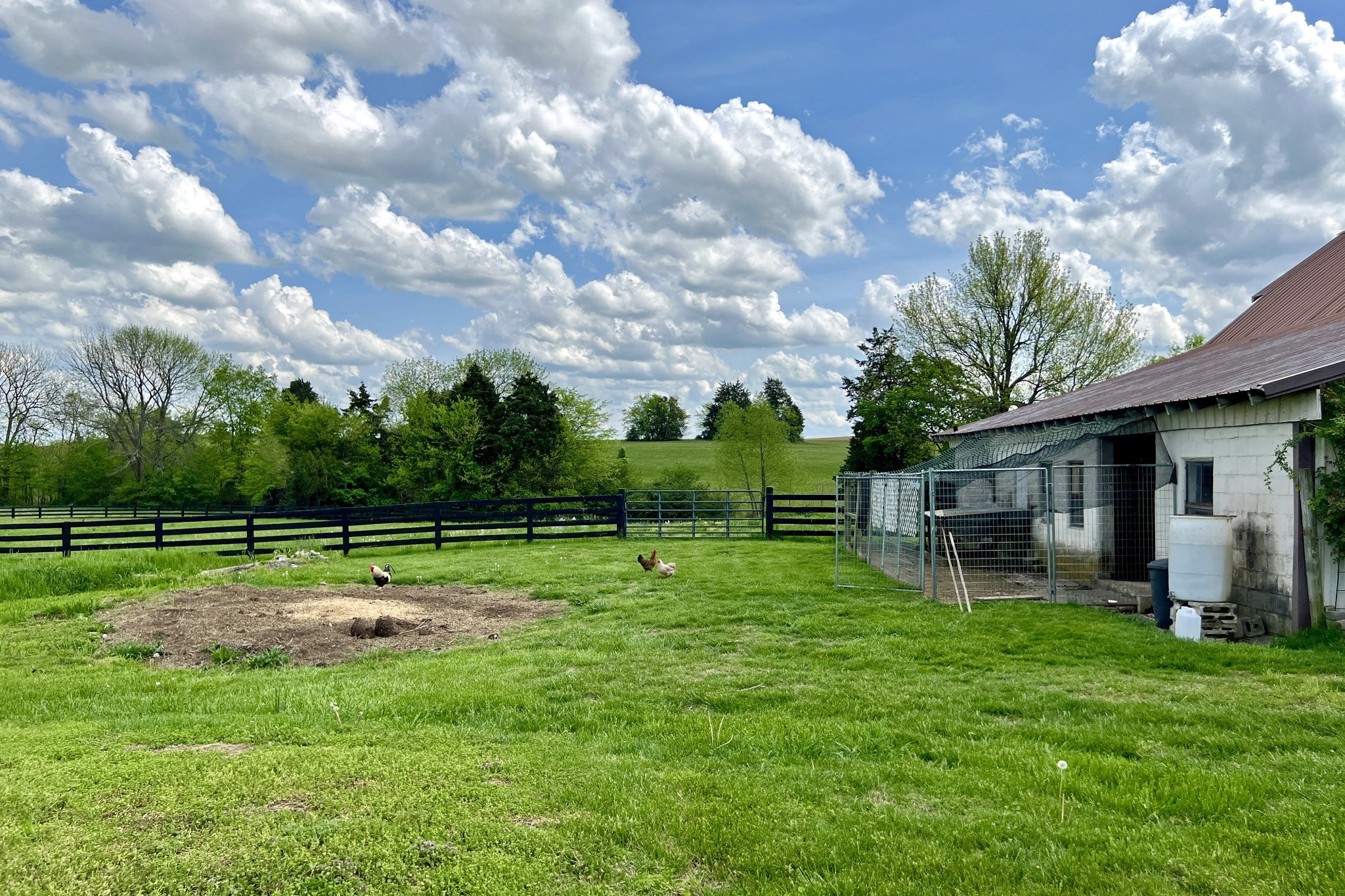 1220 Lake Spring Road Franklin, KY 42134 - Photo 59 of 77 Gallery Image 59
