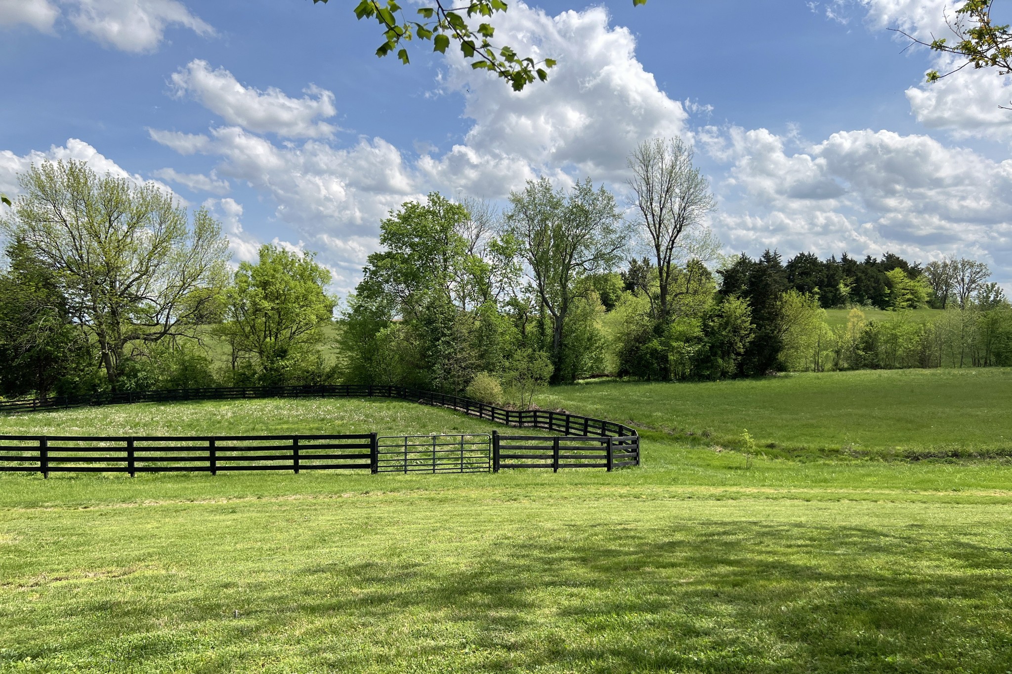 1220 Lake Spring Road Franklin, KY 42134 - Photo 66 of 77 Gallery Image 66