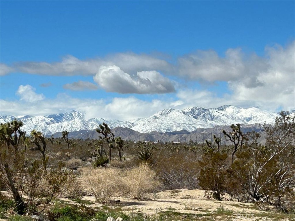 7374 Olympic Road Joshua Tree, CA 92252 - Photo 25 of 27