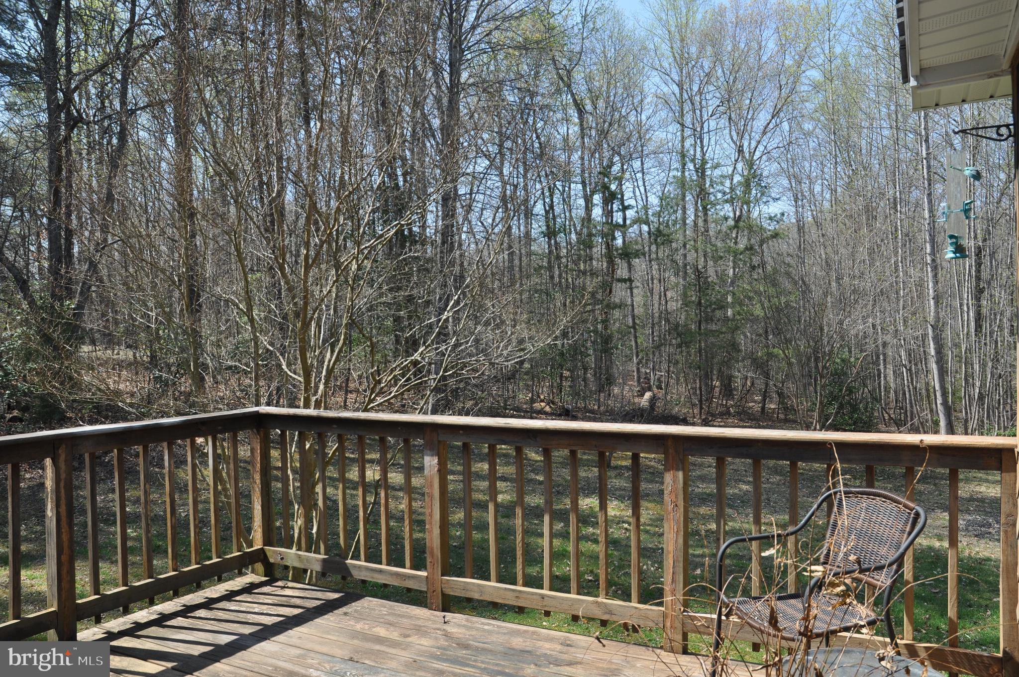 240 Richards Ferry Road Fredericksburg, VA 22406 - Photo 15 of 43 BACK DECK 2