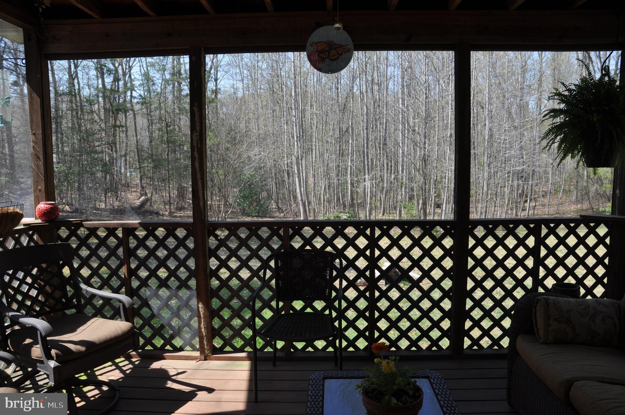240 Richards Ferry Road Fredericksburg, VA 22406 - Photo 19 of 43 SCREENED IN PORCH 4