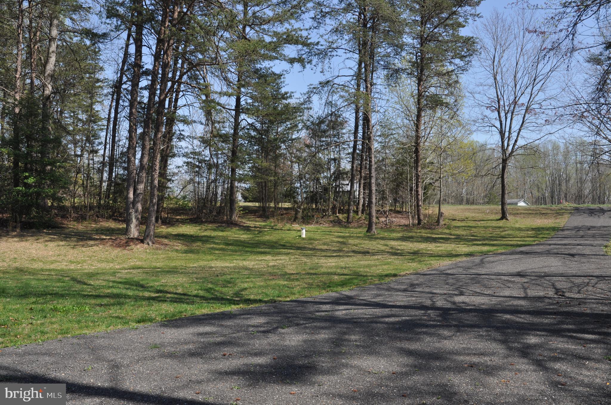 240 Richards Ferry Road Fredericksburg, VA 22406 - Photo 20 of 43 DRIVEWAY VIEW TOWARDS RICHARDS FERRY RD 1