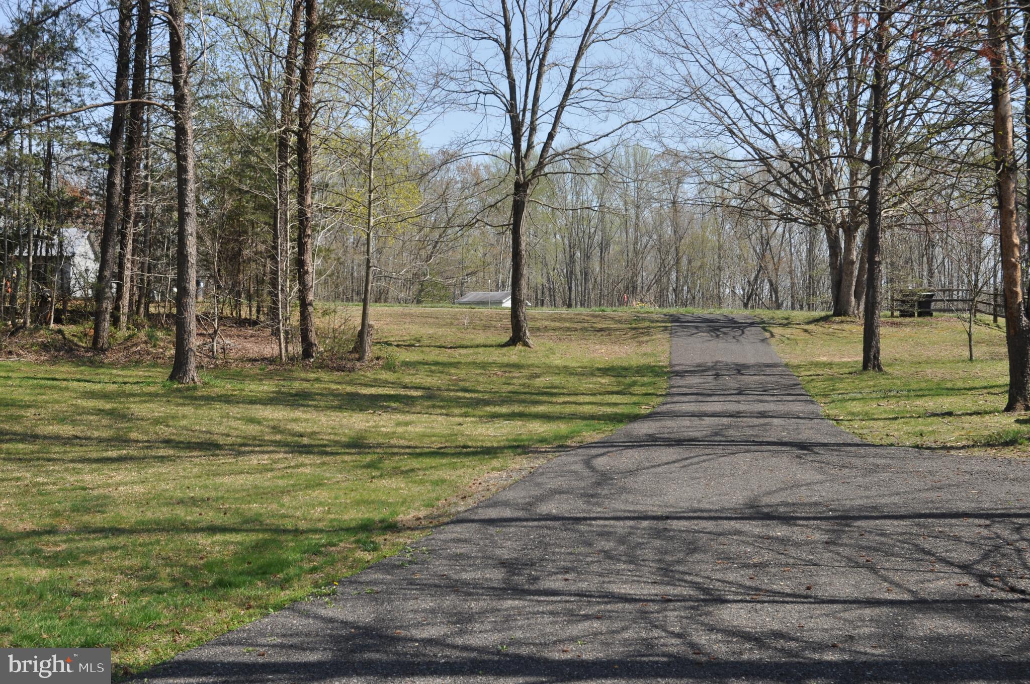 240 Richards Ferry Road Fredericksburg, VA 22406 - Photo 21 of 43 DRIVEWAY VIEW TOWARDS RICHARDS FERRY RD 2
