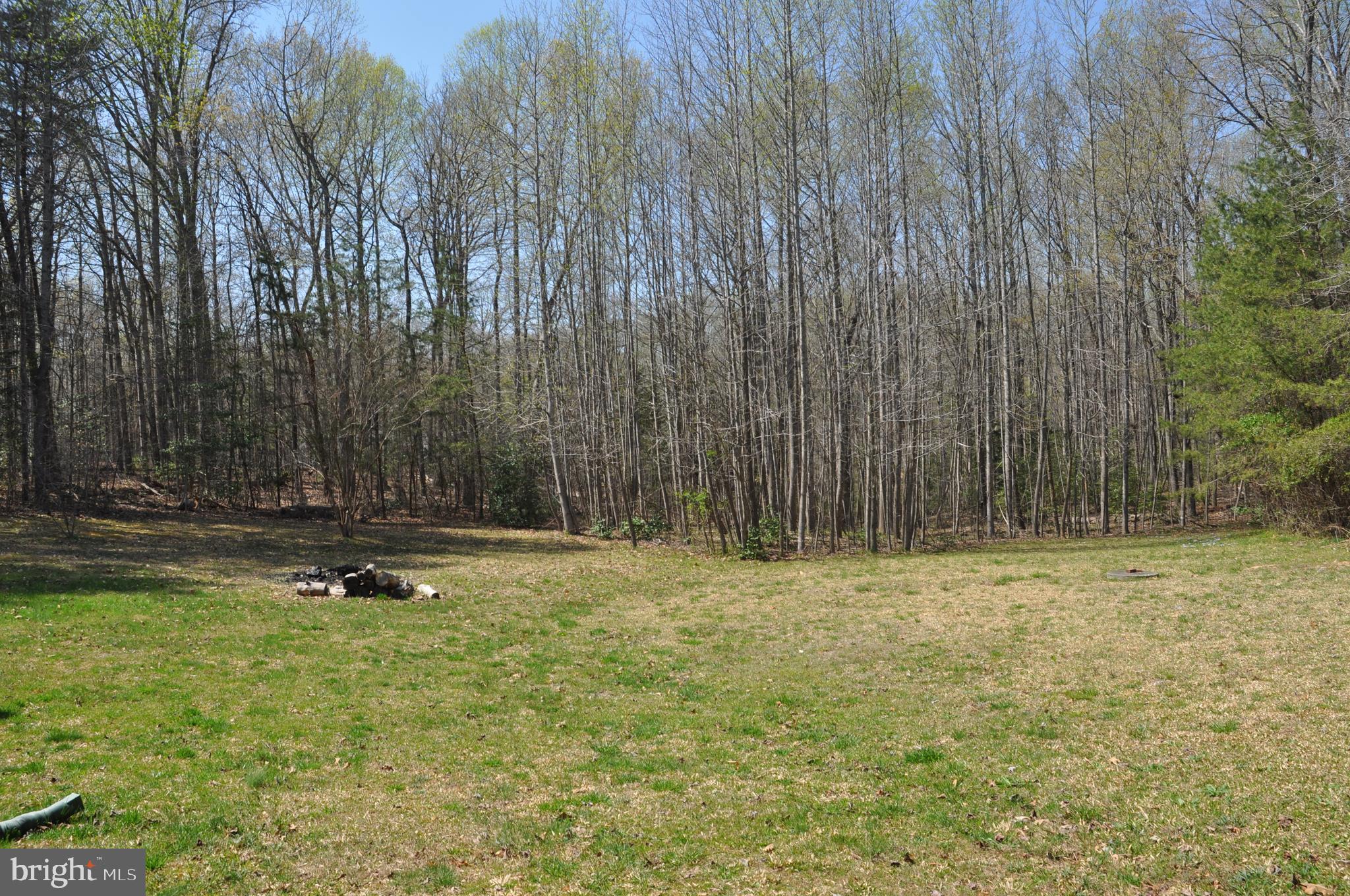 240 Richards Ferry Road Fredericksburg, VA 22406 - Photo 8 of 43 BACK YARD VIEW FROM HOUSE
