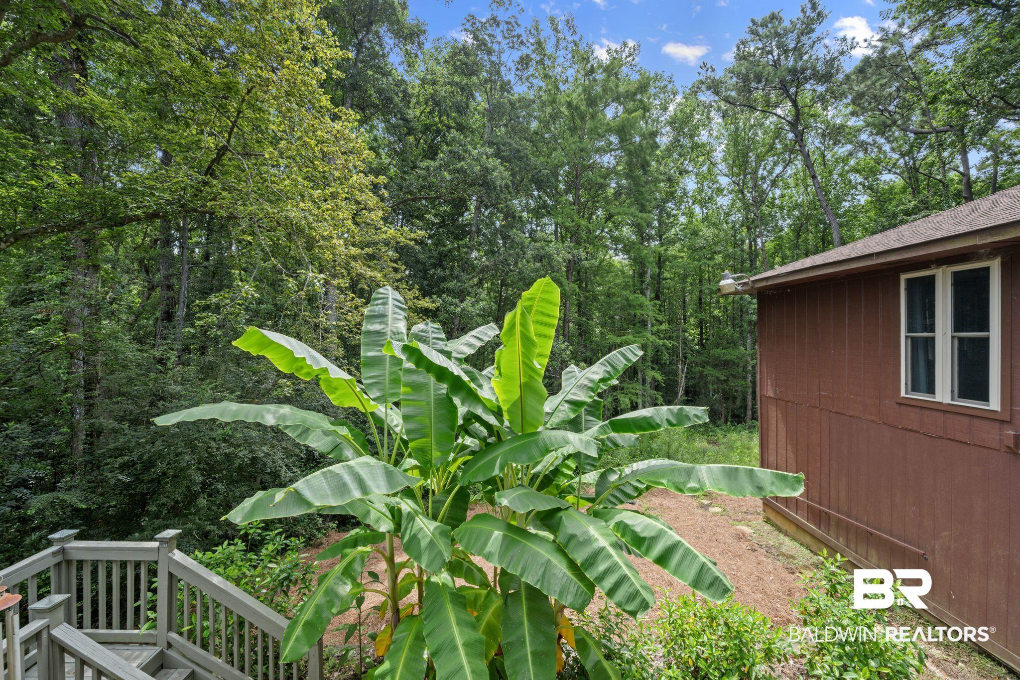 40 Caisson Trace Daphne, AL 36527 - Photo 38 of 54 View of yard