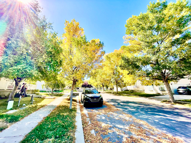 7818 North Windhover Road Eagle Mountain, UT 84005 - Photo 31 of 32 Tree-lined street with mature foliage and vibrant autumnal colors, featuring a concrete sidewalk and curb parking