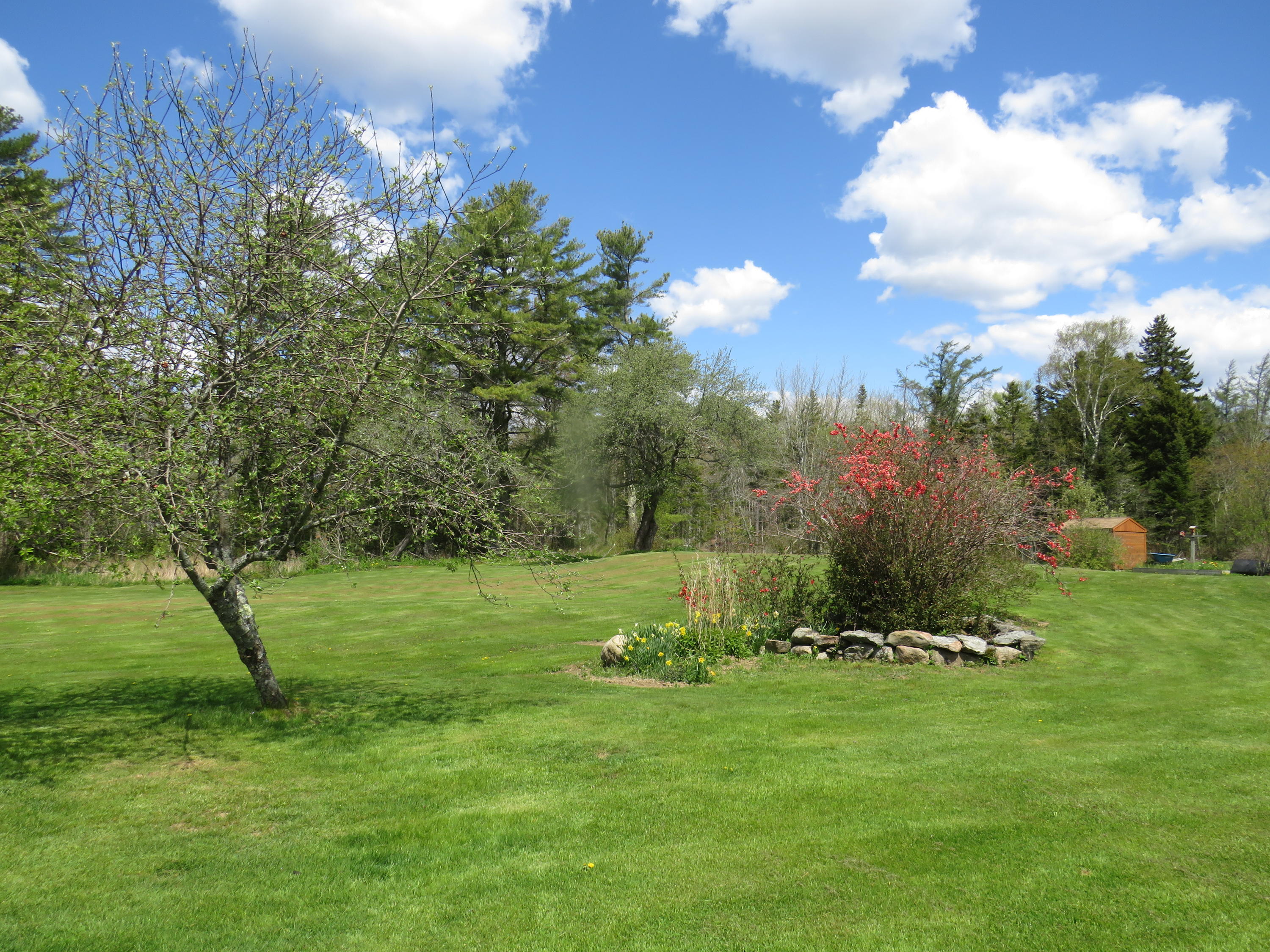 788 Cushing Road Friendship, ME 04547 - Photo 38 of 43 IMG_0798