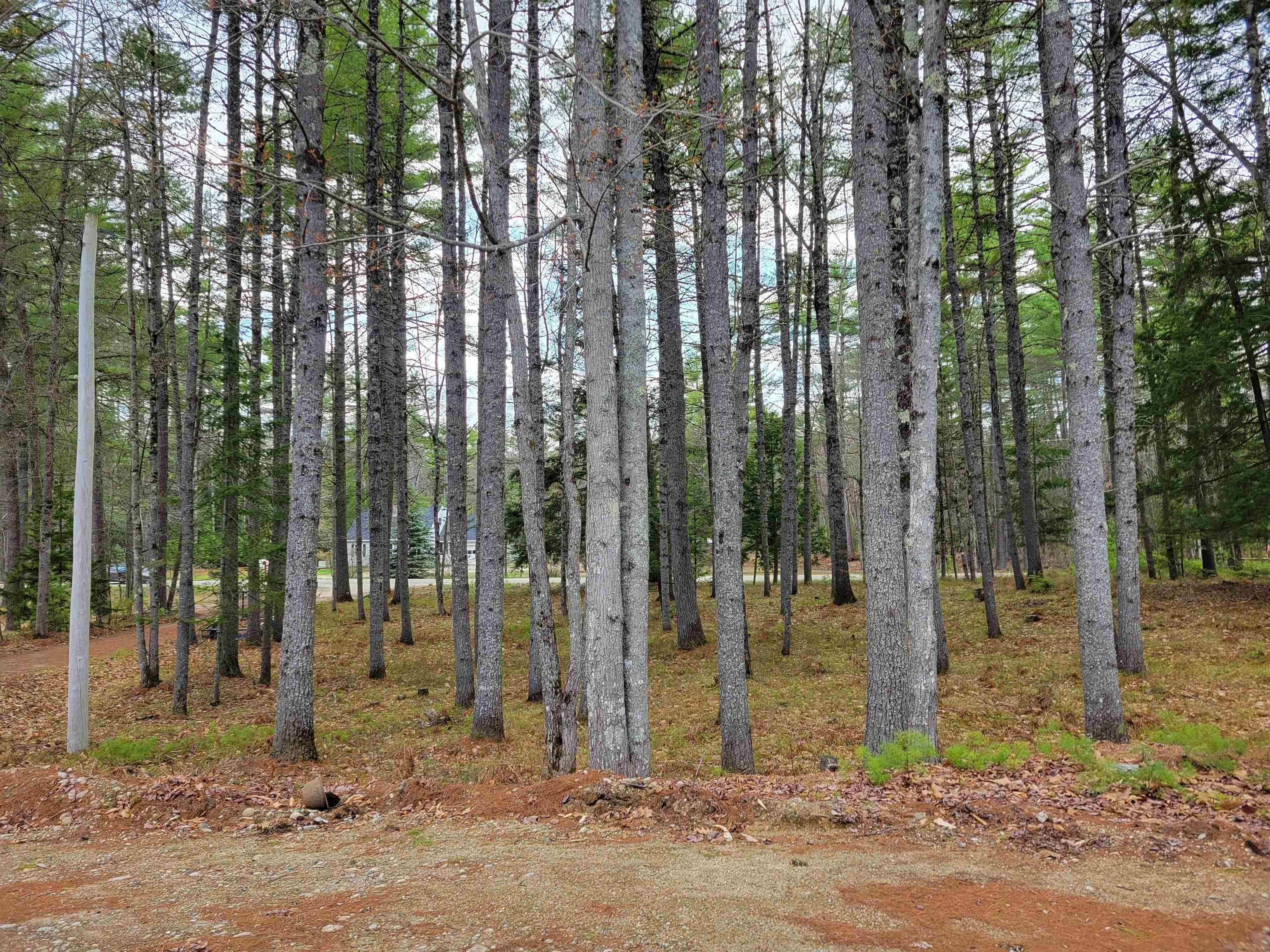981 Denmark Road Denmark, ME 04022 - Photo 14 of 15