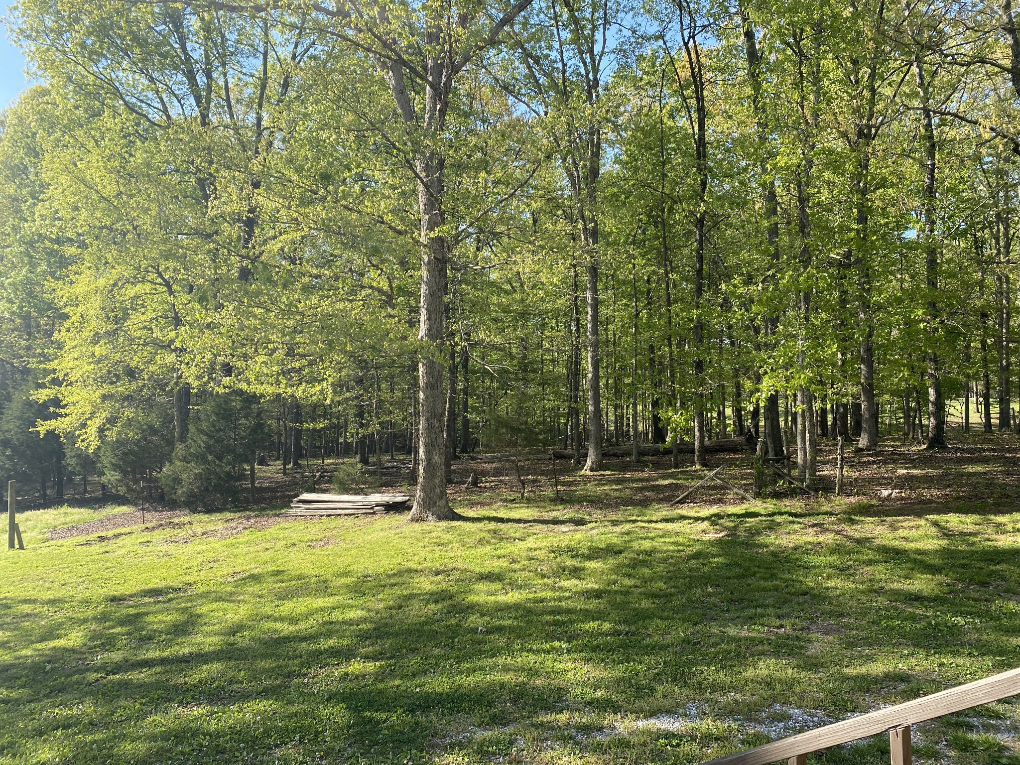 2004 Manley Loop Dickson, TN 37055 - Photo 10 of 39 Gallery Image 10