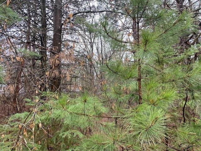 Lot 2 Sideline Road Wausau, WI 54403 - Photo 2 of 7