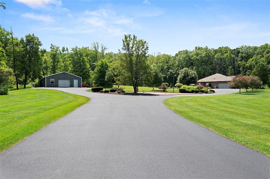 1860 Eastbrook Road New Castle, PA 16101 - Photo 5 of 25 a view of a swimming pool and trees in the background