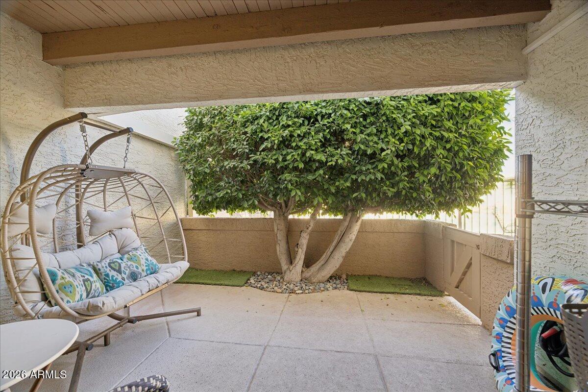 4150 East Cactus Road, Unit 120 Phoenix, AZ 85032 - Photo 28 of 42 28-Back Patio