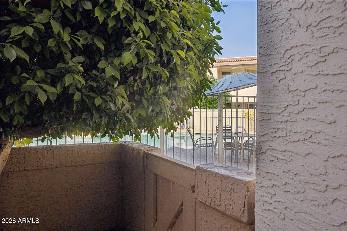 4150 East Cactus Road, Unit 120 Phoenix, AZ 85032 - Photo 30 of 42 30-Access to Pool from Back Patio
