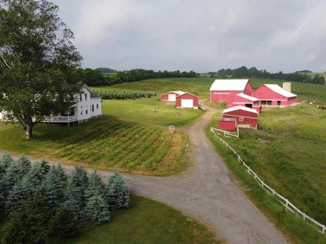 2045 Dutch Hill Road Warren, PA 16365 - Photo 7 of 9 Gallery Image 7