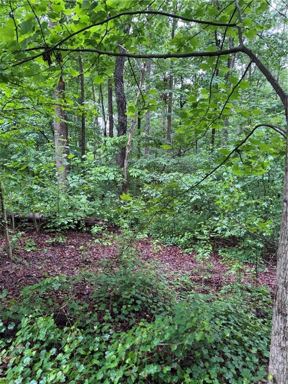 0 Scales Creek Road Homer, GA 30547 - Photo 9 of 13 a backyard of a house with lots of green space and chair