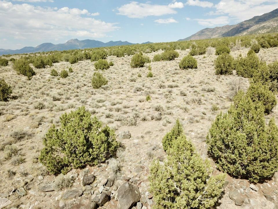 10 Acres Montello, NV 89830 - Photo 1 of 5