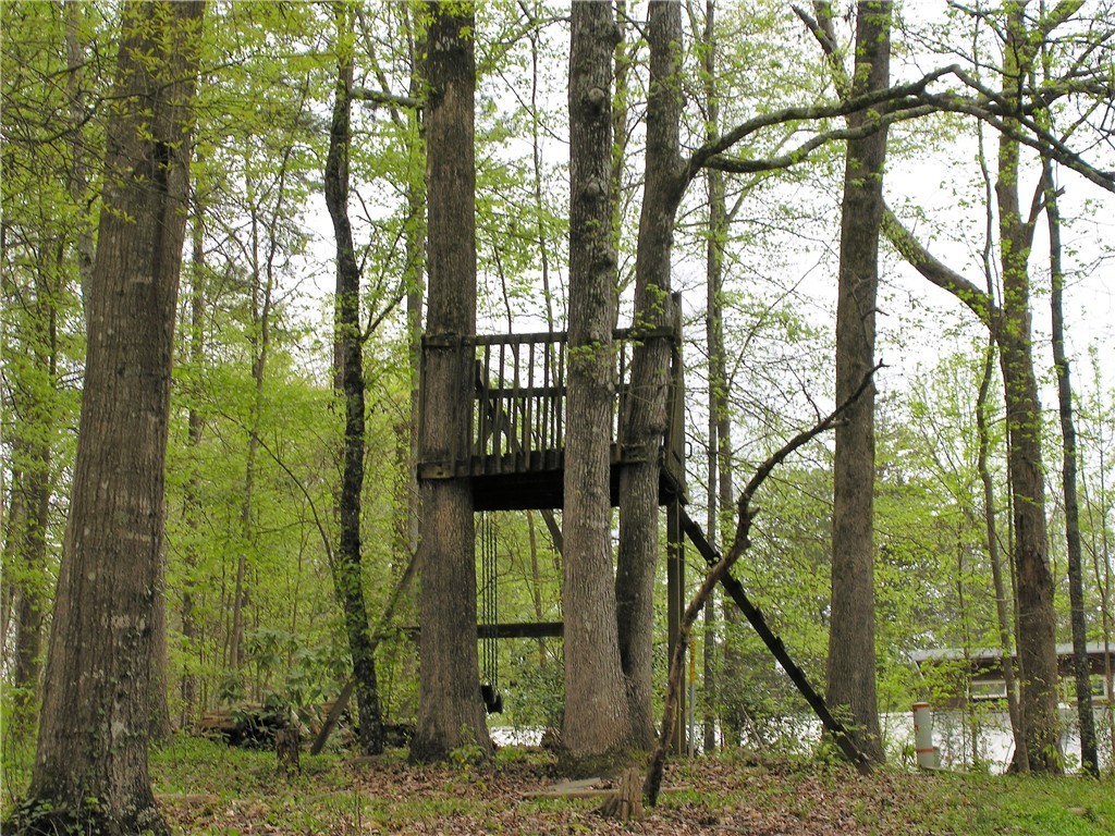 313 Kings Way Clemson, SC 29631 - Photo 44 of 50 Gallery Image 44