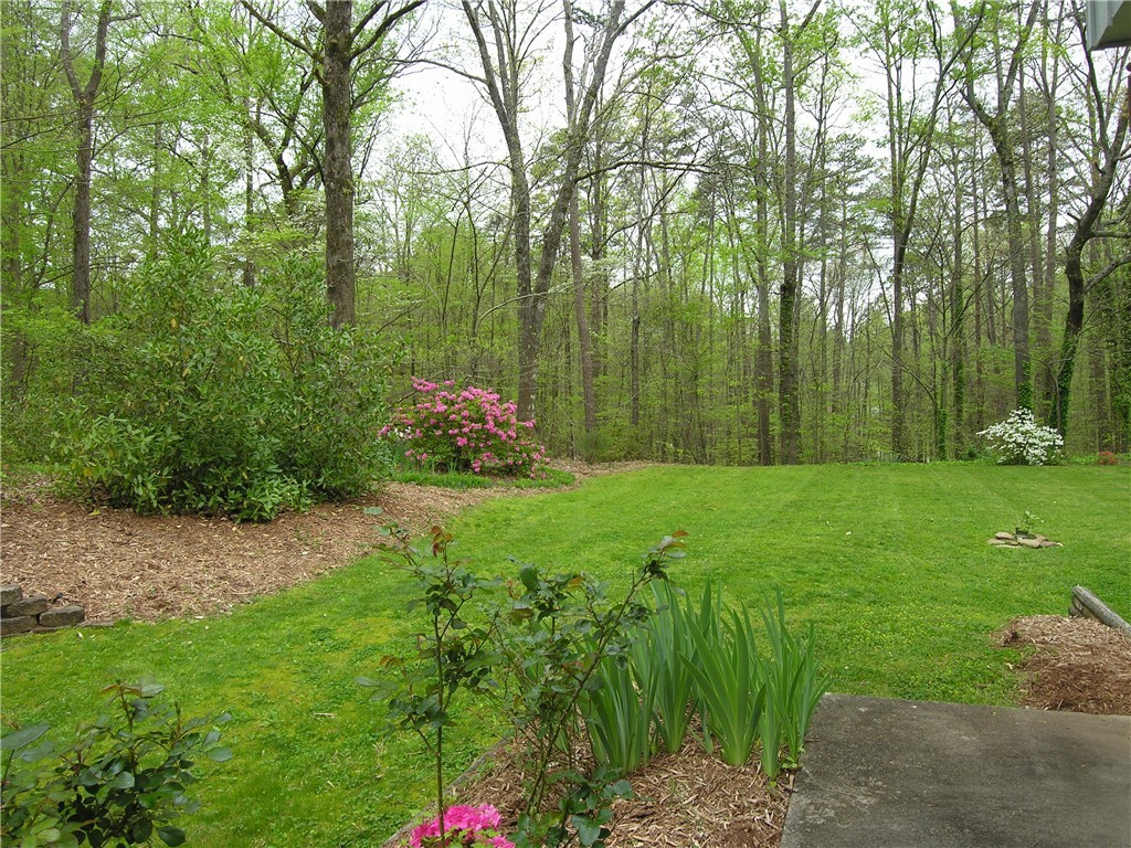 313 Kings Way Clemson, SC 29631 - Photo 50 of 50 Gallery Image 50