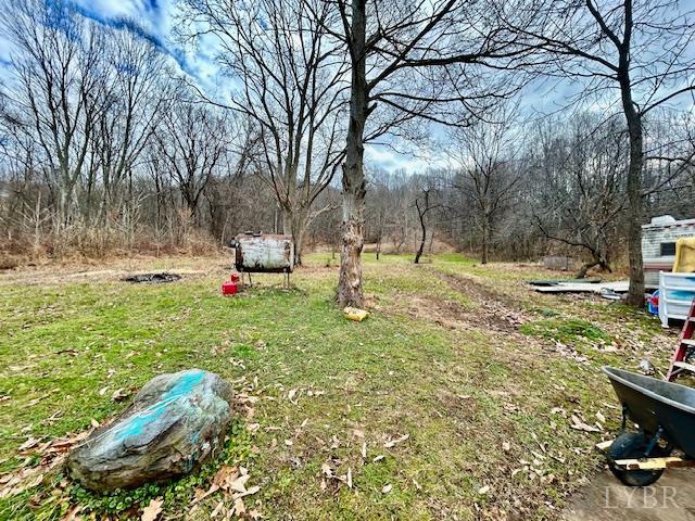 1959 Sweet Hollow Road Big Island, VA 24526 - Photo 23 of 26