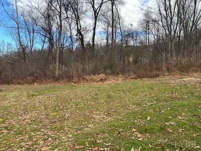 1959 Sweet Hollow Road Big Island, VA 24526 - Photo 25 of 26