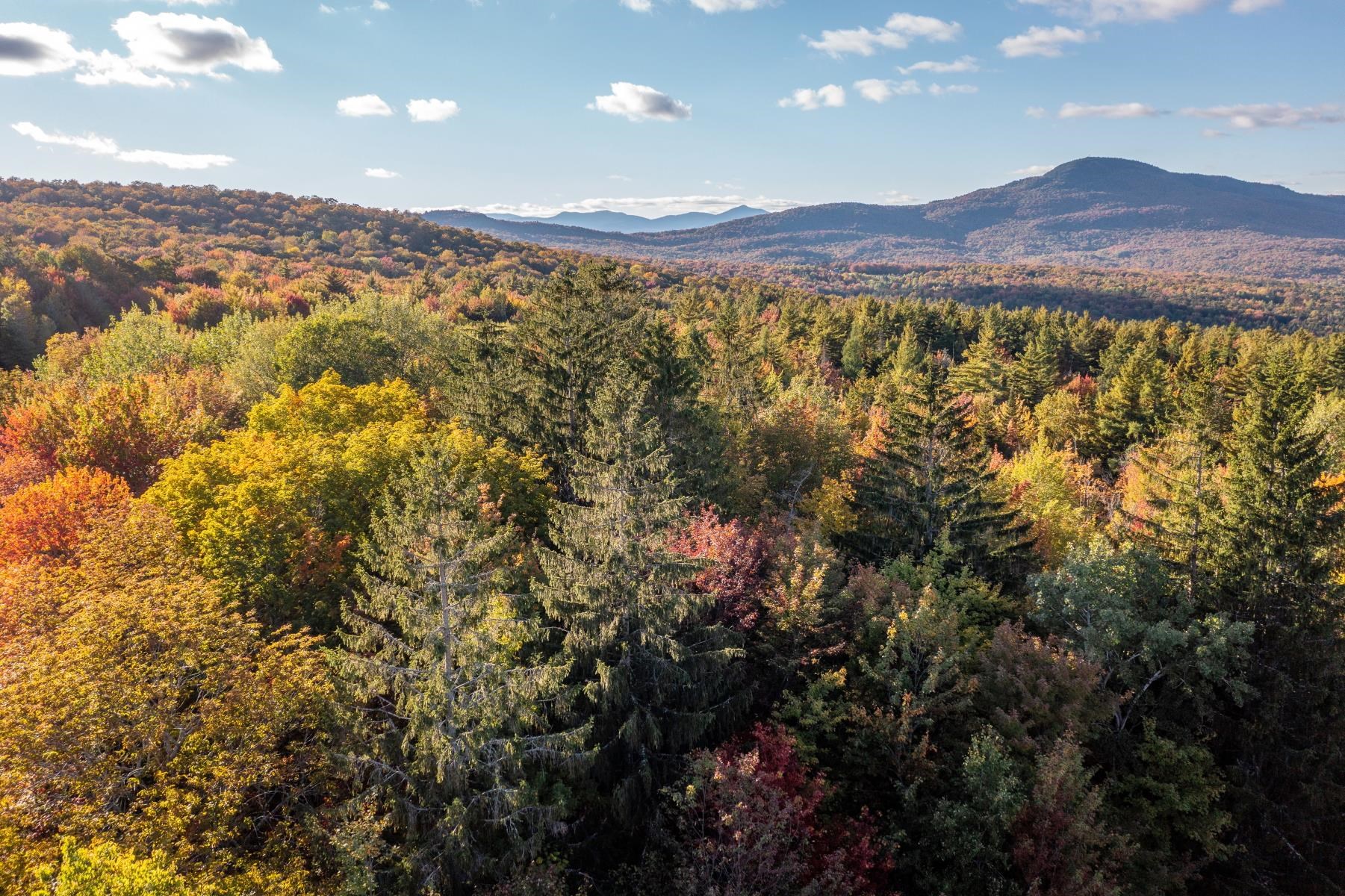 500 Hardwood Flats Road Wolcott, VT 05680 - Photo 6 of 8 Gallery Image 6