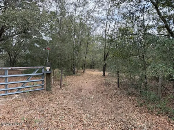 $37,000 | 0 Pasofino Lane, Alford, FL 32420